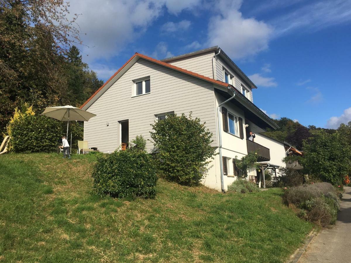 Villa Alpenpanorama Am Hochrhein Gailingen Exterior foto