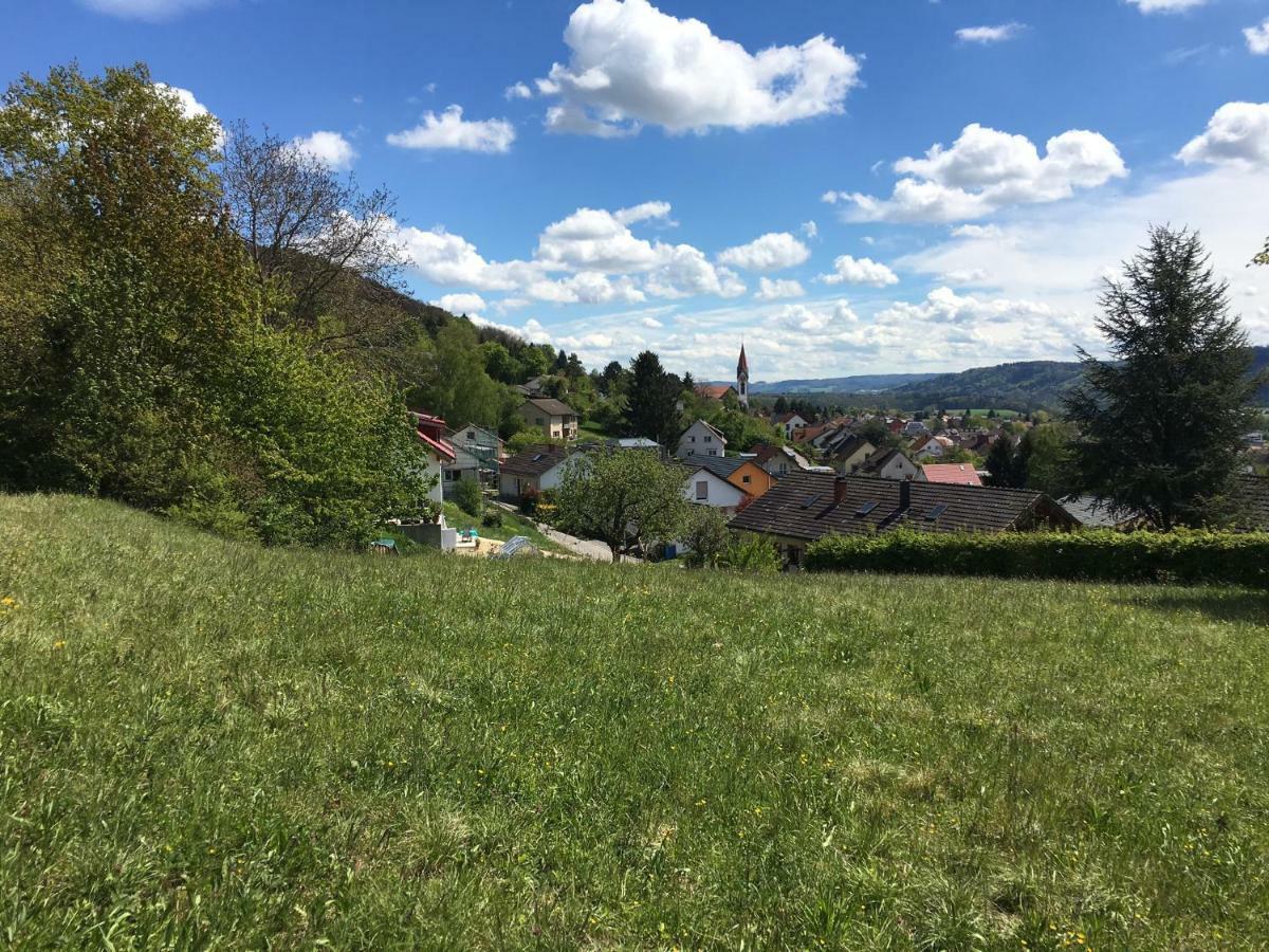 Villa Alpenpanorama Am Hochrhein Gailingen Exterior foto
